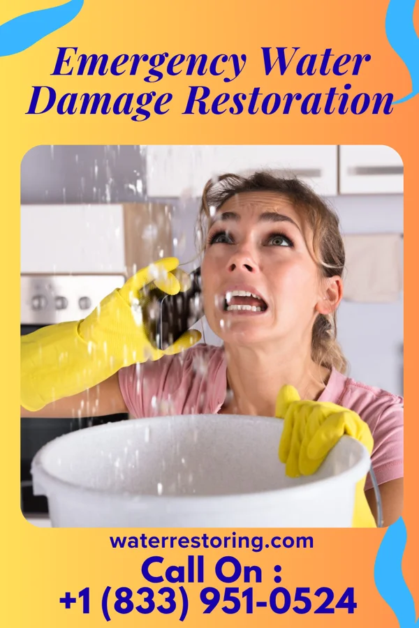 Emergency Water Damage Restoration in Louisburg, KS