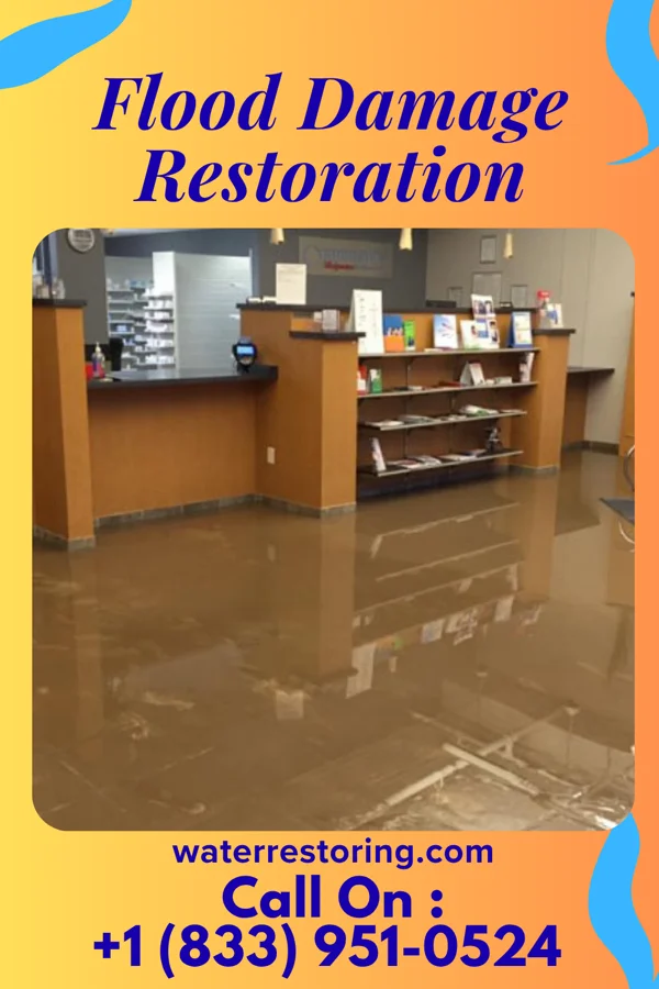 Flood Damage Restoration in Louisburg, KS