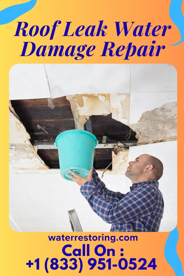 Roof Leak Water Damage Repair in Louisburg, KS