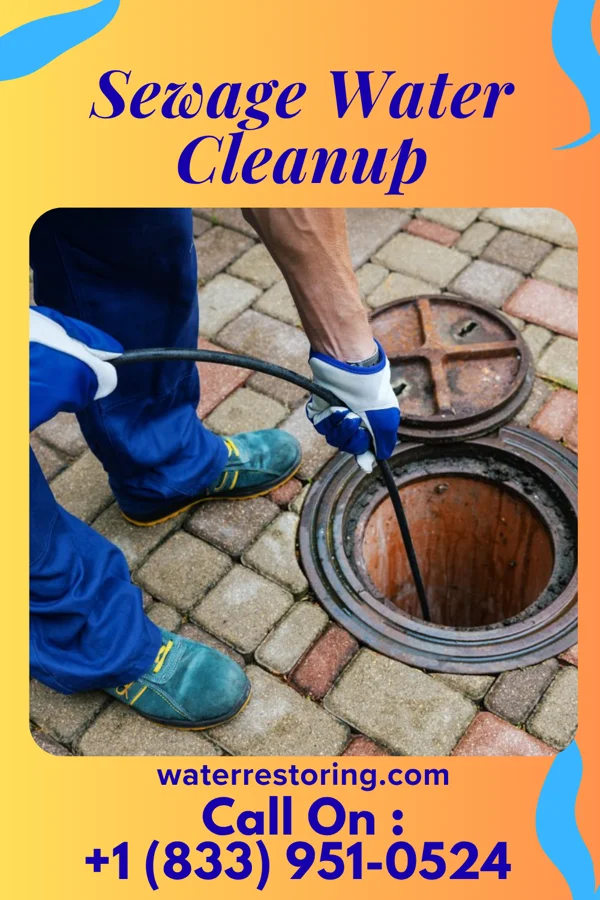 Sewage Water Cleanup in Louisburg, KS